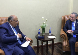 شكرى يبحث مع وزيري خارجية كازاخستان وقيرغيزستان العلاقات الثنائية