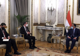 رئيس الوزراء يستقبل الرئيس التنفيذي لصندوق المناخ الأخضر