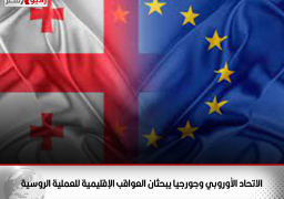 الاتحاد الأوروبي وجورجيا يبحثان العواقب الإقليمية للعملية الروسية