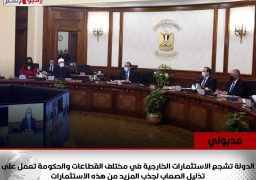 رئيس الوزراء: الدولة تشجع الاستثمارات الخارجية في مختلف القطاعات والحكومة تعمل على تذليل الصعاب لجذب المزيد من هذه الاستثمارات