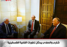 شكرى والصفدى يبحثان تطورات القضية الفلسطينية