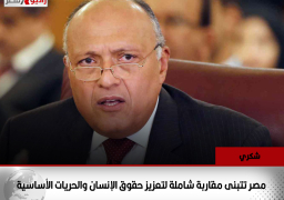 شكري: مصر تتبنى مقاربة شاملة لتعزيز حقوق الإنسان والحريات الأساسية