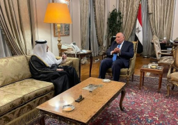 شكري: تشكيل لجنة مصرية- قطرية للعمل على تعزيز العلاقات بين البلدين