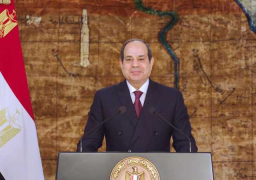 الرئيس السيسي: نطمح لتأسيس اقتصاد وطنى قوى قادر على مواجهة الأزمات