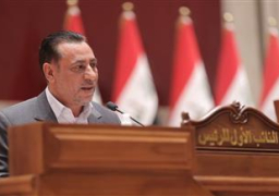 الزاملى يؤكد على أهمية ضبط الحدود المشتركة مع سوريا