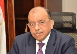 شعراوي: تمويل 24 ألف مشروع صغير بإجمالي قروض 160 مليون جنيه