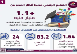 معلومات الوزراء: أكثر من 1.1 مليار جنيه لسد الطلب على المهارات الرقمية