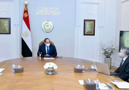 الرئيس السيسي يتابع نشاط هيئة قناة السويس