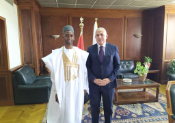 عبد العاطي: مصر تدعم التنمية بأفريقيا بتنفيذ مشروعات في مجال المياه