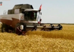 الرئيس السيسي يشاهد فيلمًا تسجيليًا بعنوان “أرض الخير”