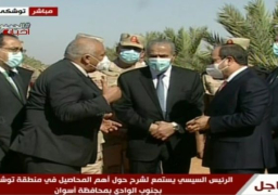 السيسي يقوم بجولة تفقدية لمنطقة توشكى إيذانا ببدء موسم حصاد القمح