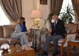 أبو الغيط يبحث مع ستيفاني ويليامز آخر تطورات الملف الليبي