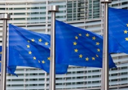 الاتحاد الأوروبي يعرب عن قلقه البالغ إزاء تصاعد أعمال العنف في الأراضي الفلسطينية