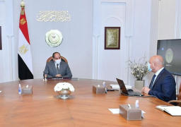 الرئيس السيسي يوجه بالاستمرار في التنسيق مع السودان لتطوير حركة النقل النهري بين البلدين
