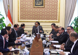 رئيس الوزراء يبحث زيادة مكون الاستثمار المؤسسي الحكومي في سوق الأسهم