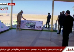 عبر الفيديو كونفرانس..السيسي يفتتح عددا من صوامع القمح بـ4 محافظات