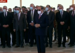 السيسي يستمع لشرح حول مخطط المناطق المزروعة بالقمح في توشكى