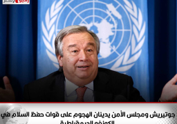 جوتيريش ومجلس الأمن يدينان الهجوم على قوات حفظ السلام في الكونغو الديمقراطية