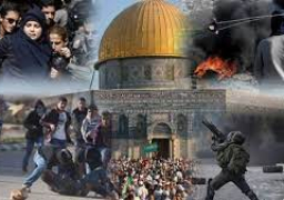 غريب يطالب بتفعيل القوى الناعمة لخدمة القضية الفلسطينية