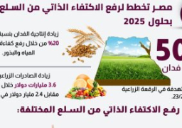 معلومات الوزراء: مصر تخطط لرفع الاكتفاء الذاتي من السلع بحلول 2025