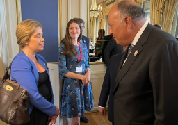 وزير الخارجية يلتقي وزيرة المناخ والبيئة السويدية