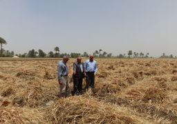 “الزراعة” تواصل متابعة حصاد وتوريد القمح في جميع محافظات الجمهورية