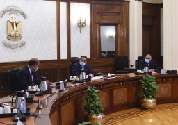 رئيس الوزراء يلتقى أمين عام اتحاد الغرف التجارية العربية