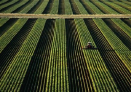 المؤتمر السنوي الأول للتكامل الاقتصادي العربي يدعو لتحقيق الاكتفاء من الغذاء