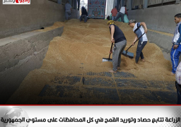 الزراعة في ثالث أيام عيد الفطر المبارك تتابع حصاد وتوريد القمح في كل المحافظات على مستوى الجمهورية