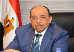 شعراوي: تركيب أكثر من 406 آلاف قطعة موفرة لاستهلاك المياه بدور العبادة