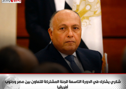 شكري يشارك في الدورة التاسعة للجنة المشتركة للتعاون بين مصر وجنوب أفريقيا