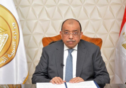 التنمية المحلية تعلن تنظيم الدورة التدريبية الثانية للكوادر الإفريقية