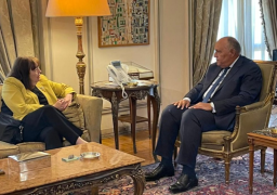 شكري يستقبل الممثلة الخاصة لأمين عام الأمم المتحدة المعنية بالأطفال