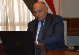 شكري يبحث العلاقات الثنائية خلال اتصال مرئي مع نظيرته التنزانية