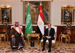 الرئيس السيسي يؤكد التزام مصر بموقفها الثابت تجاه أمن الخليج