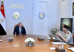 الرئيس يطلع علي مستجدات المشروع القومي للانتاج الزراعي”الدلتا الجديدة”