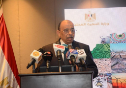 شعراوي: القيادة السياسية تعطي أولوية قصوى لدعم ومساندة الدول الإفريقية