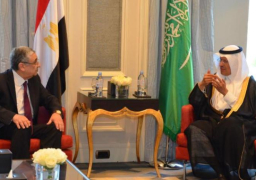 وزير الكهرباء يبحث أوجه التعاون مع وزير الطاقة السعودى