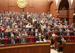 “الشيوخ” يوافق مبدئيا على مشروع قانون خطة التنمية الاقتصادية