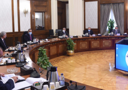 رئيس الوزراء يبحث اجراءات تيسير استيراد الأدوية والمستلزمات الطبية