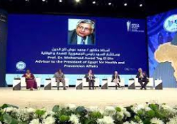 تاج الدين يؤكد وجود سفينة بجنوب مصر وشمال السودان للوقاية من الملاريا