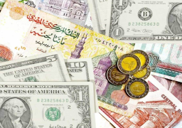 استقرار سعر صرف الدولار أمام الجنية المصرى اليوم