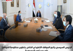 الرئيس السيسي يتابع الموقف التنفيذي الخاص بتطوير منظومة الموانئ على مستوى الجمهورية