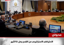 رئيس الوزراء: الاحتياطى الاستراتيجى من القمح يصل لـ6 أشهر