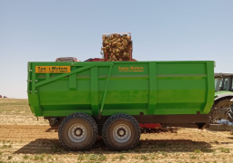 الزراعة: بدء موسم حصاد البنجر في مشروع غرب غرب المنيا