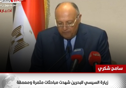 سامح شكري: زيارة السيسي للبحرين شهدت مباحثات مثمرة ومعمقة