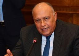 شكري يتوجه إلى بون الألمانية للمشاركة باجتماعات أممية حول المناخ