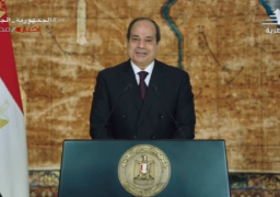 السيسي: موجات الارهاب الاسود تحطمت على صخور ارادة المصريين الصلبة