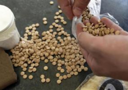 السلطات السعودية تحبط تهريب أكثر من 300 ألف قرص مخدر