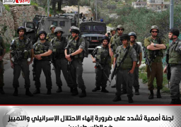 لجنة أممية تُشدد على ضرورة إنهاء الاحتلال الإسرائيلي والتمييز ضد الفلسطينيين